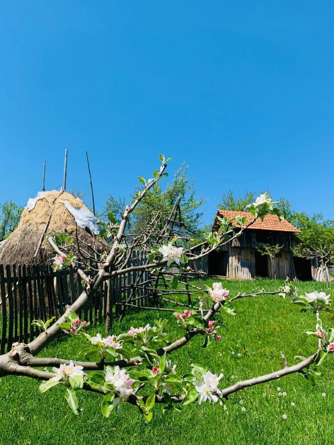 The Story Garden 호텔 Corbi 외부 사진